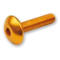 Produktbild: VERKLEIDUNGSSCHRAUBENSATZ M6X20 (6 STK.) GOLDFARBEN (TA620OR)