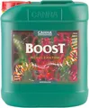 Produktbild: Canna BOOST Accelerator 5 L