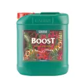 Produktbild: Canna Boost Accelerator 5 Liter Dünger Booster, Blütestimulator, Ertrag