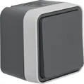 Produktbild: Berker 30763505 Wechselschalter, Aufputz, W.1, grau/lichtgrau matt