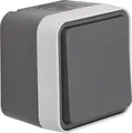 Produktbild: Berker WECHSELSCHALTER GRAU MATT W.1 (30763505)