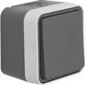 Produktbild: Berker Wechselschalter 30763505
