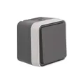 Produktbild: Berker 30763505 Wechselschalter AP W.1 grau/lichtgrau matt