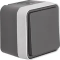 Produktbild: Berker Wechselschalter AP IP55 grau 1-fach Wippe 30763505 Kunststoff