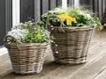 Produktbild: Rattan Korb Mittel Pflanzkörbe Blumen Garten Terrasse Größe Ø 35 x H 25 cm