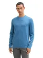 Produktbild: TOM TAILOR Herren 1039805 Strickpullover mit Crewneck, 37095 - Ocean Blue Melange, XL