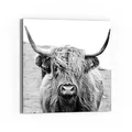 Produktbild: DEQORI Glasbild Acrylglas | Motiv Zotteliges Hochlandrind | quadratisch einteilig 50x50 cm | schöne Dekoration | Wandbild für Wohnzimmer, Schlafzimmer, Flur & Küche | moderne Wanddeko