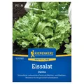 Produktbild: Kiepenkerl Saatgut Eissalat 'Danilo'