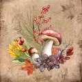 Produktbild: 20 Servietten Steinpilz und Herbstfrüchte | Pilze | Beeren | Blätter | Herbst | Tischdeko | Decoupage | Serviettentechnik 33x33cm
