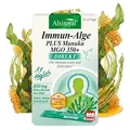 Produktbild: Alsiroyal Immun-Alge PLUS Manuka MGO 350+ DIREKT (20 Sticks) - Nahrungsergänzung mit Beta-Glucan aus Euglena gracilis, Vitamin C & Zink - Praktische Direkt-Sticks für unterwegs