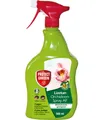Produktbild: Protect Garden Lizetan Orchideen-Spray AF 500ml