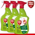 Produktbild: Protect Garden 3 x 500 ml Lizetan® Orchideen-Spray AF