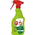Produktbild: Orchideenspray 'Lizetan', 500 ml