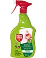 Produktbild: Protect Garden 500 ml Lizetan® Orchideen-Spray AF  saugende beißende Schädlinge