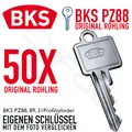 Produktbild: 50X BKS Schlüssel Rohling Original für Profilzylinder Serie PZ 88 • 89 • 31