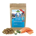 Produktbild: Schecker Trockenfutter - Omega mit Lachs - Maxi - speziell für ausgewachsene Hunde großer Rassen - 3 kg - gutenfrei - weizenfrei