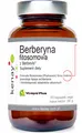 Produktbild: BERBEVIS® Phytosomenberberin Extrakt 30% 60 Kapseln - Nahrungsergänzungsmittel