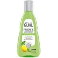 Produktbild: Guhl Frische und Leichtigkeit Anti Fett Shampoo Pflege fürs Haar 250ml
