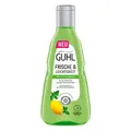 Produktbild: GUHL FRISCHE & LEICHTIGKEIT ANTI-FETT Shampoo 250 ml