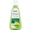 Produktbild: Guhl Haarshampoo GUHL FRISCHE & LEICHTIGKEIT ANTI-FETT Shampoo 250 ml