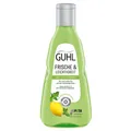 Produktbild: Guhl Frische und Leichtigkeit Anti Fett Shampoo Pflege fürs Haar 250ml