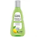 Produktbild: Guhl Frische & Leichtigkeit Anti-Fett Shampoo 250 ml