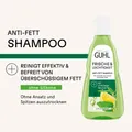 Produktbild: Guhl Anti-Fett Shampoo 250 ml für fettiges Haar - Frische & Leichtigkeit
