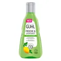 Produktbild: GUHL FRISCHE & LEICHTIGKEIT ANTI-FETT Shampoo 250 ml