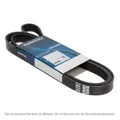 Produktbild: DAYCO 6PK1205 Keilrippenriemen für CITROEN FIAT FORD NISSAN OPEL PEUGEOT RENAULT