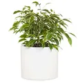 Produktbild: Fox & Fern Übertopf L - Blumentopf Gross inkl. Wasserabfluss - Blumentopf hoch 27cm - Übertöpfe für Zimmerpflanzen - 30cm Durchmesser - Pflanzentöpfe groß - Plant Pot - weiß matt