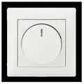 Produktbild: Busch-Jaeger Drehdimmer 6523 UJ-914-102