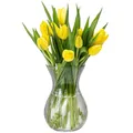 Produktbild: KONZEPT Blumenvase Glas 18 cm Hoch, ⌀ 11 cm, Vase für Tulpen Durchsichtig, Spülmaschinenfest - Kleine Vase für Tischdeko bei Hochzeiten & Partys