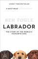 Produktbild: Labrador: Die Geschichte Des Beliebtesten Hundes Der Welt Taschenbuch Ben Fo