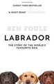 Produktbild: Labrador: The Story of the Worlds Favourite Dog  ... | Buch | Zustand akzeptabel
