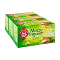 Produktbild: Teekanne Minze Ingwer, 3er Pack