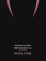 Produktbild: Born Pink (Box Set Version)