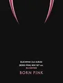 Produktbild: Born Pink (Box Set Version) | CD | Zustand gut