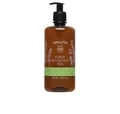 Produktbild: Apivita Duschgel MOUNTAIN TEA shower gel with mountain tea 500 ml