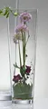 Produktbild: BODENVASE 50CM KONISCH GLAS 173-50