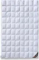 Produktbild: daunen-federn.de Sommer Bettdecke 135x200 Premium: 100% neue Daunen Klasse 1, atmungsaktiv, 8x10 Karo Stepp