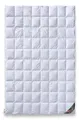 Produktbild: daunen-federn.de Sommerbettdecke 135x200 Premium: 100% natürliche Materialien, atmungsaktiv, Allergiker geeignet, 100% luftige Baumwolle, 100% Daunen Qualität Klasse 1, Made in Germany