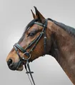 Produktbild: STAR Trensenzaum Diamond ENGL.Komb., schwarz, Pony