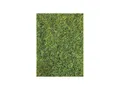 Produktbild: Heki 3369 Grasfaser Wildgras dunkelgrün, 75 g, 5-6 mm