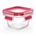 Produktbild: EMSA Clip & Close GLAS Frischhaltedose Vorratsbehälter Transparent / Rot 0.18 L