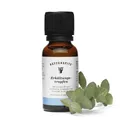Produktbild: RETTERSPITZ Erkältungstropfen 20 ml