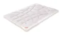 Produktbild: Paradies Fill Premium Steppbett 