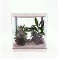 Produktbild: Aquaristikwelt24 - Hr-230 Weiß Nano Aquarium Komplettaquarium Mini Aquarium+filteranlage