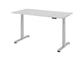 Produktbild: Stehschreibtisch, elektrisch höhenverstellbar, gerade, BxT 1600 x 800 mm, lichtgrau kaiserkraft