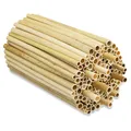 Produktbild: BEESI 1000x Niströhren für Wildbienen aus Schilf 14 cm lang I Durchmesser 3-7 mm inkl. E-Book I Nisthülsen für Insektenhotel I Bienenhotel Röhrchen I Insektenhotel Füllmaterial (Naturschilf, 1000)
