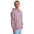 Produktbild: Kapuzensweatshirt QUIKSILVER 